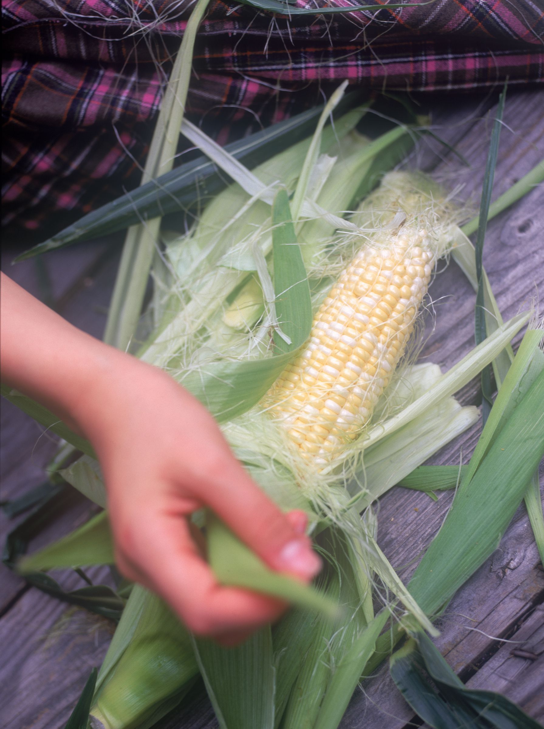 SF-No.607 鈴木杏 Anne Suzuki-图8