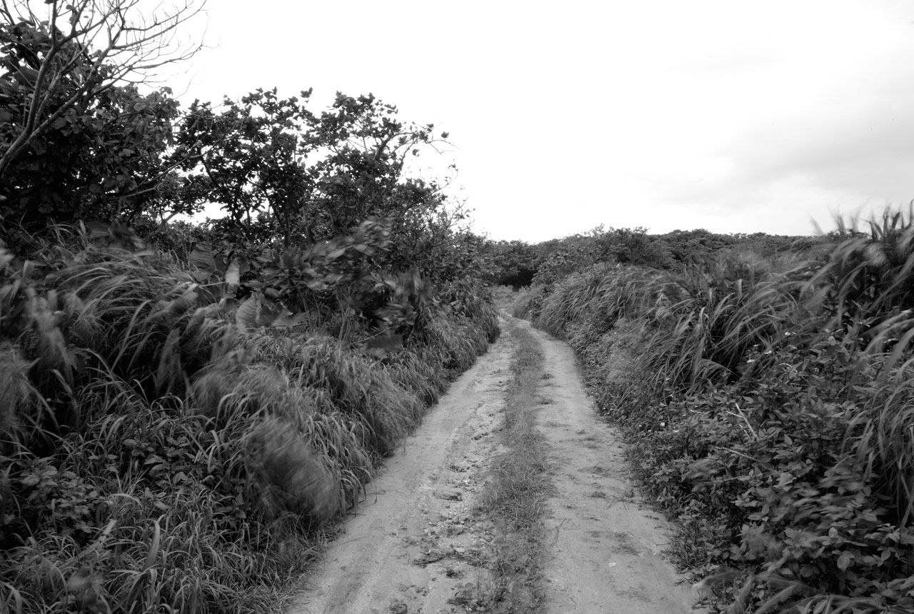 浅見れいな/浅见丽奈 《Be Natural》-图29