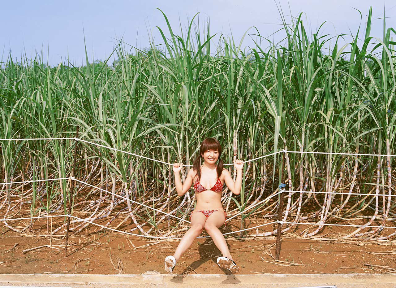 横張しほり/横张紫穗梨《Pure Body》-图42