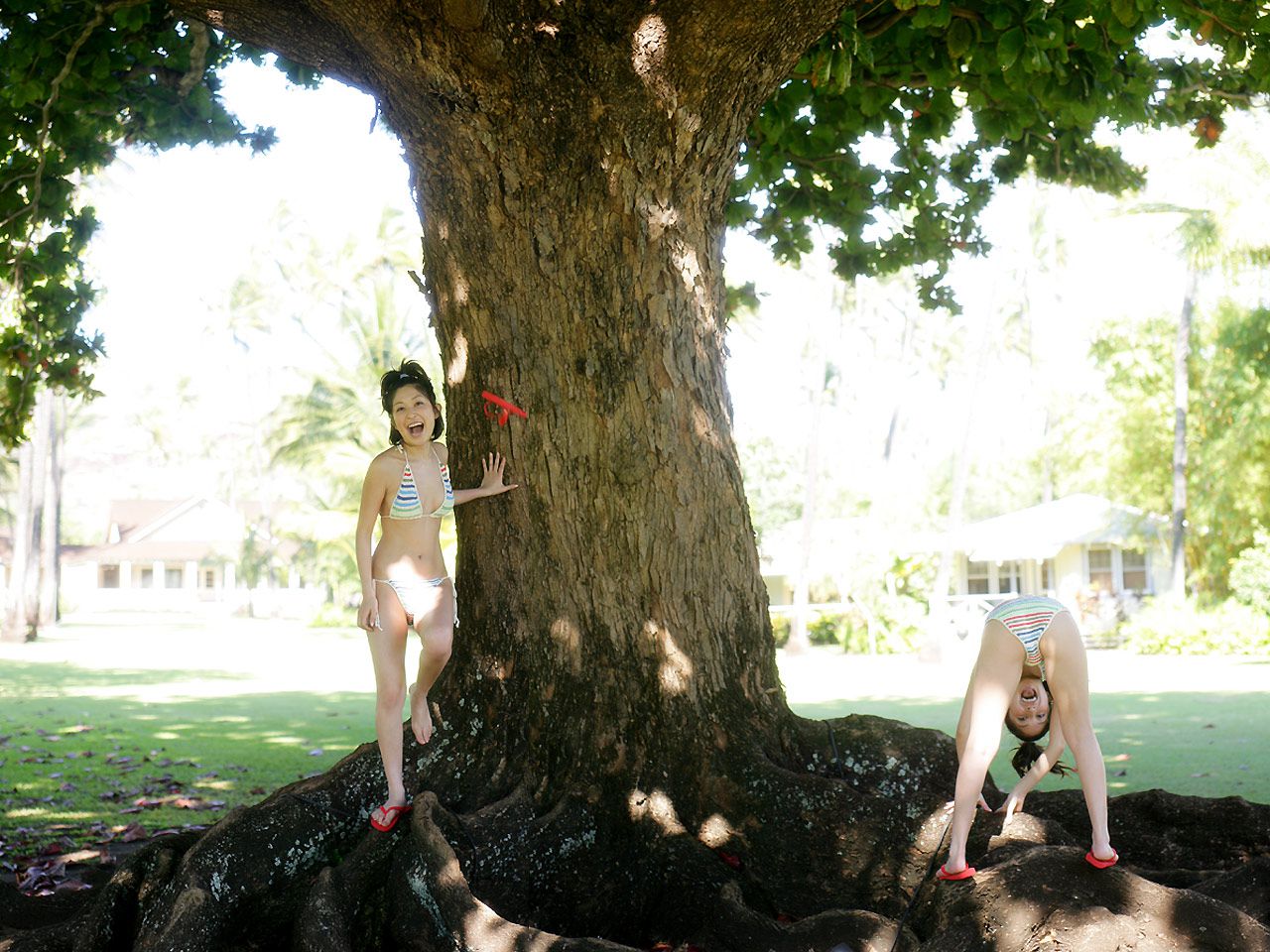 小野真弓 Mayumi Ono 《アロハ☆マインド》-图2