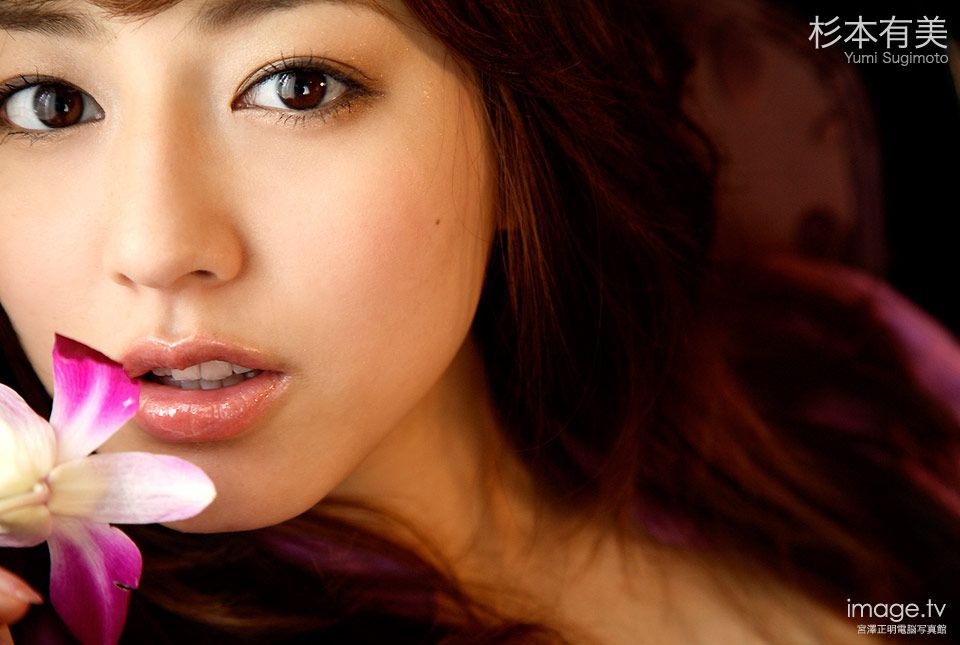 杉本有美 Yumi Sugimoto 《Rosebud》-图47