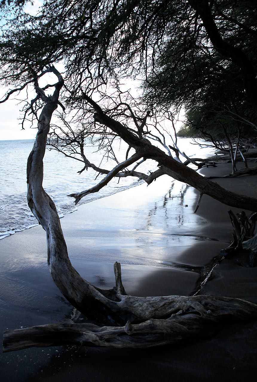 吉瀬美智子 Michiko Kichise 《silent beauty》-图4