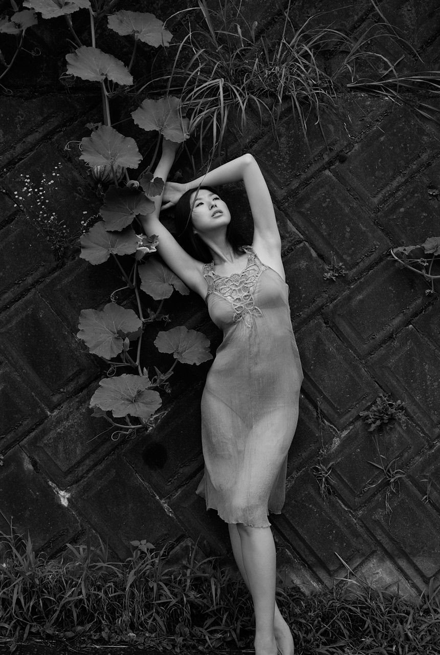 Miwon 美元 《朱夏 SHU-KA》-图8