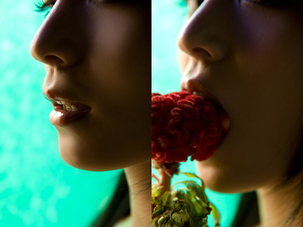 川村ゆきえ/川村雪绘 《Melody s Shadow》-图13