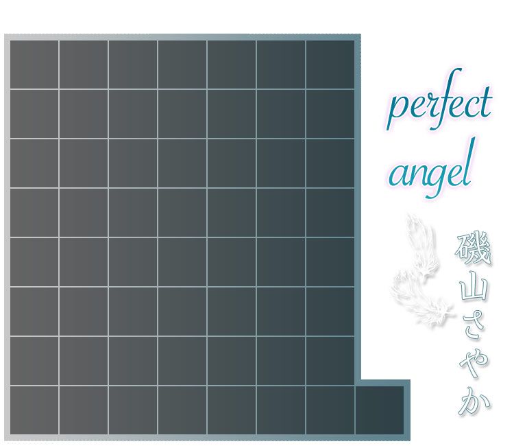 磯山さやか/矶山沙也加《Perfect Angel》-图10