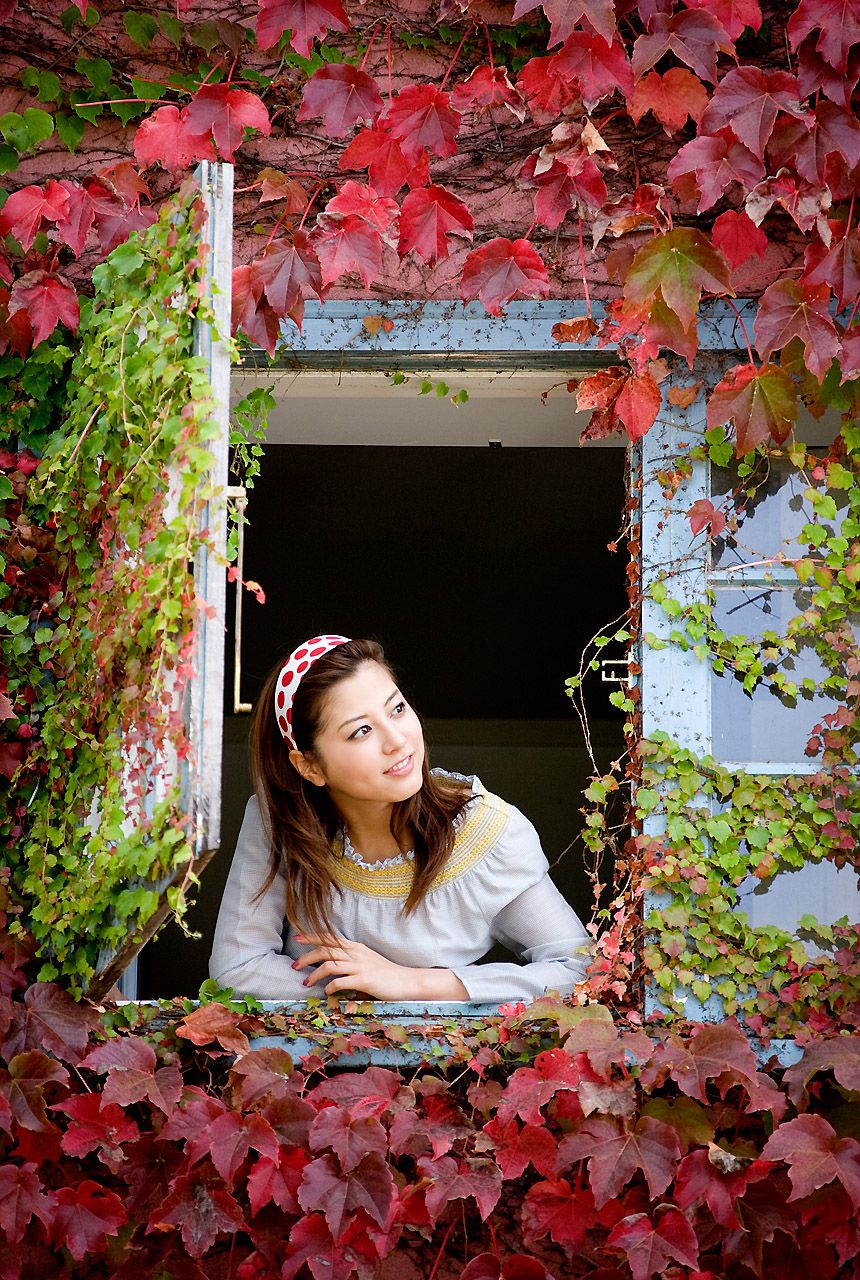 杉本有美《Breezin 》-图1