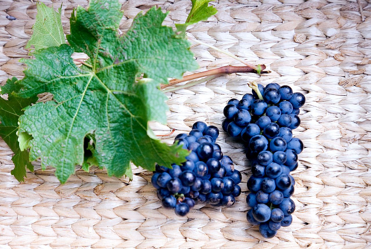 杉本有美《Breezin 》-图5