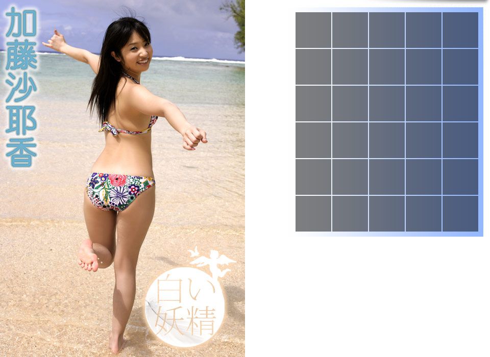 加藤沙耶香《白し妖精》-图0