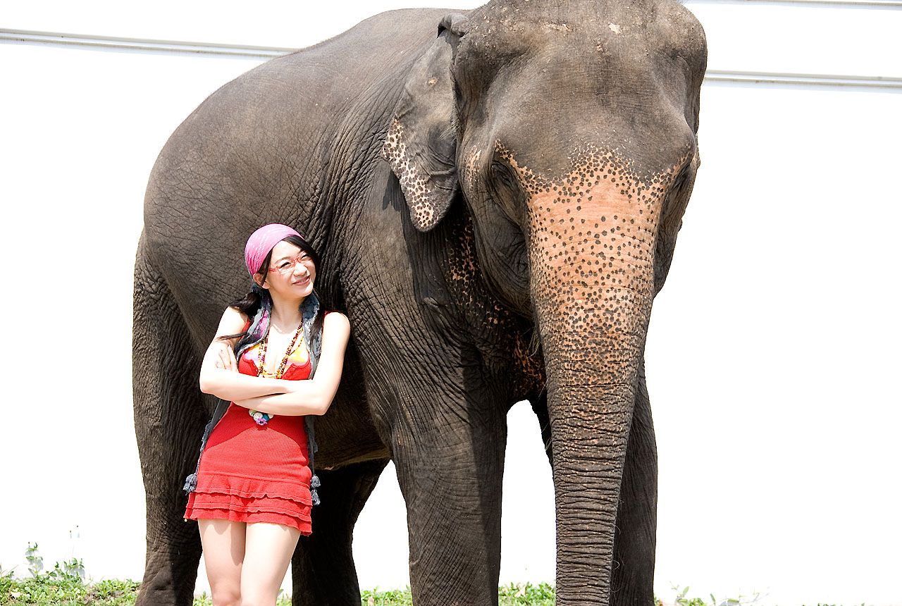 時東ぁみ/时东亚美《Spring breeze》-图2