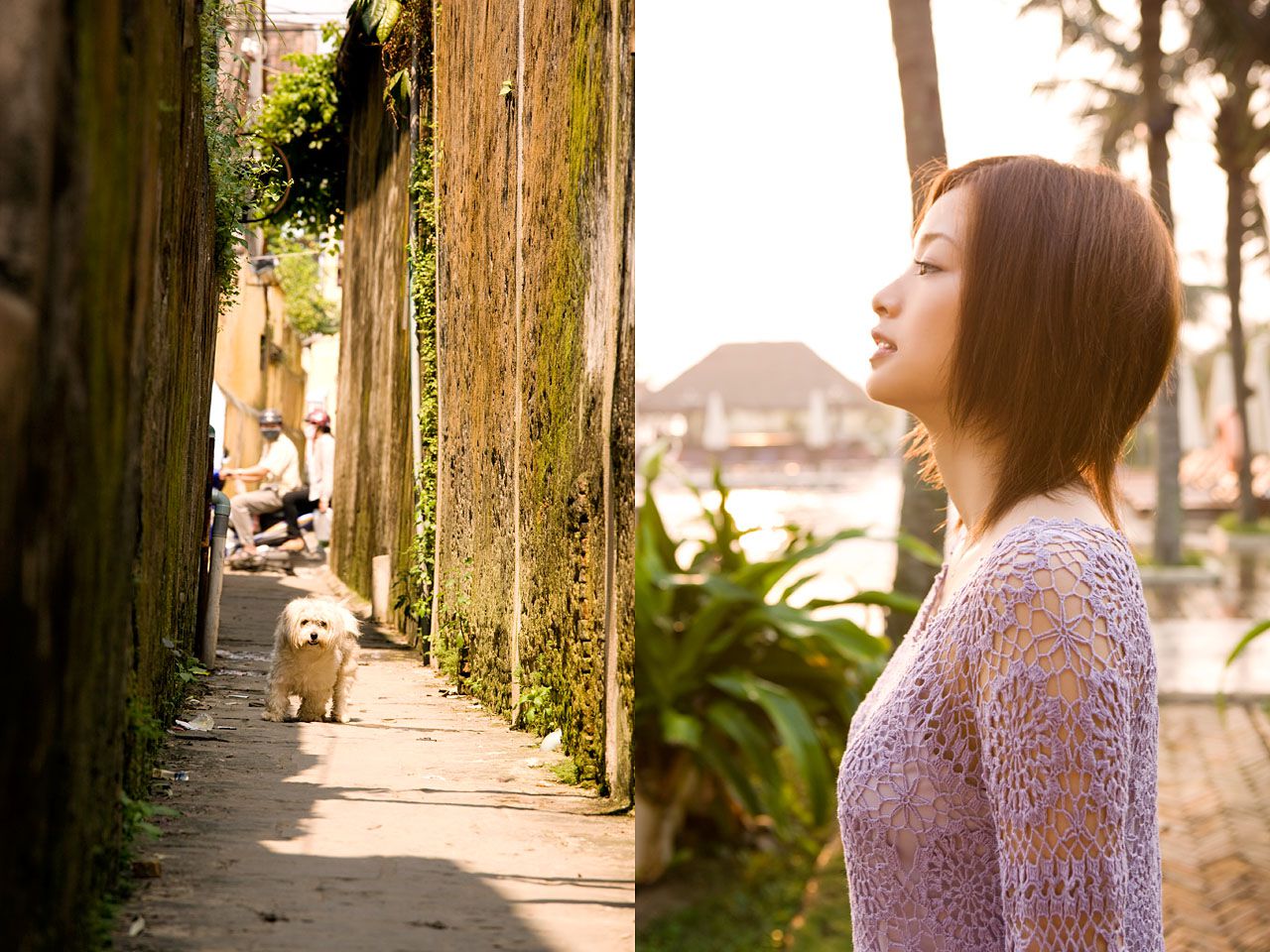 上戸彩/上户彩《Treasure of Asia special release》-图43