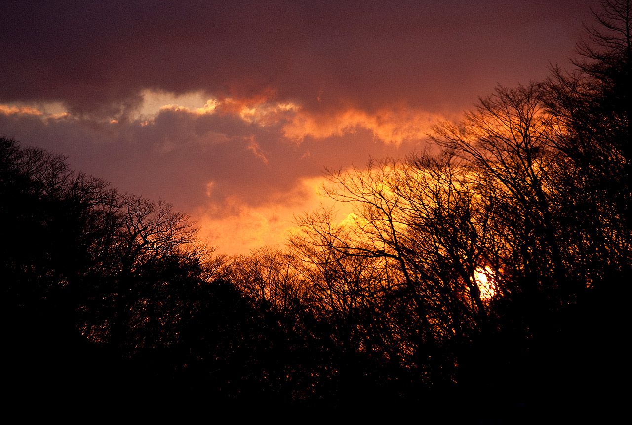 かでなれおん/嘉那蕾音《LOVE is REON》-图5