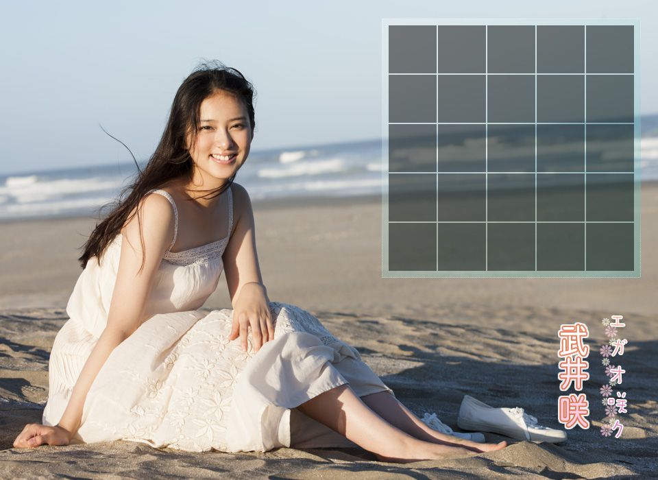 武井咲 Emi Takei 《2012年12月刊号》-图1