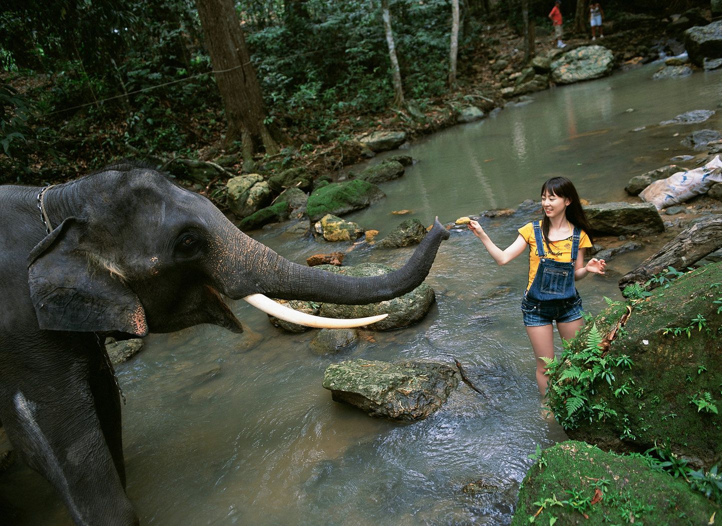 秋山莉奈《热帯、美少女、ハプニング!!!》  Vol.215-图20