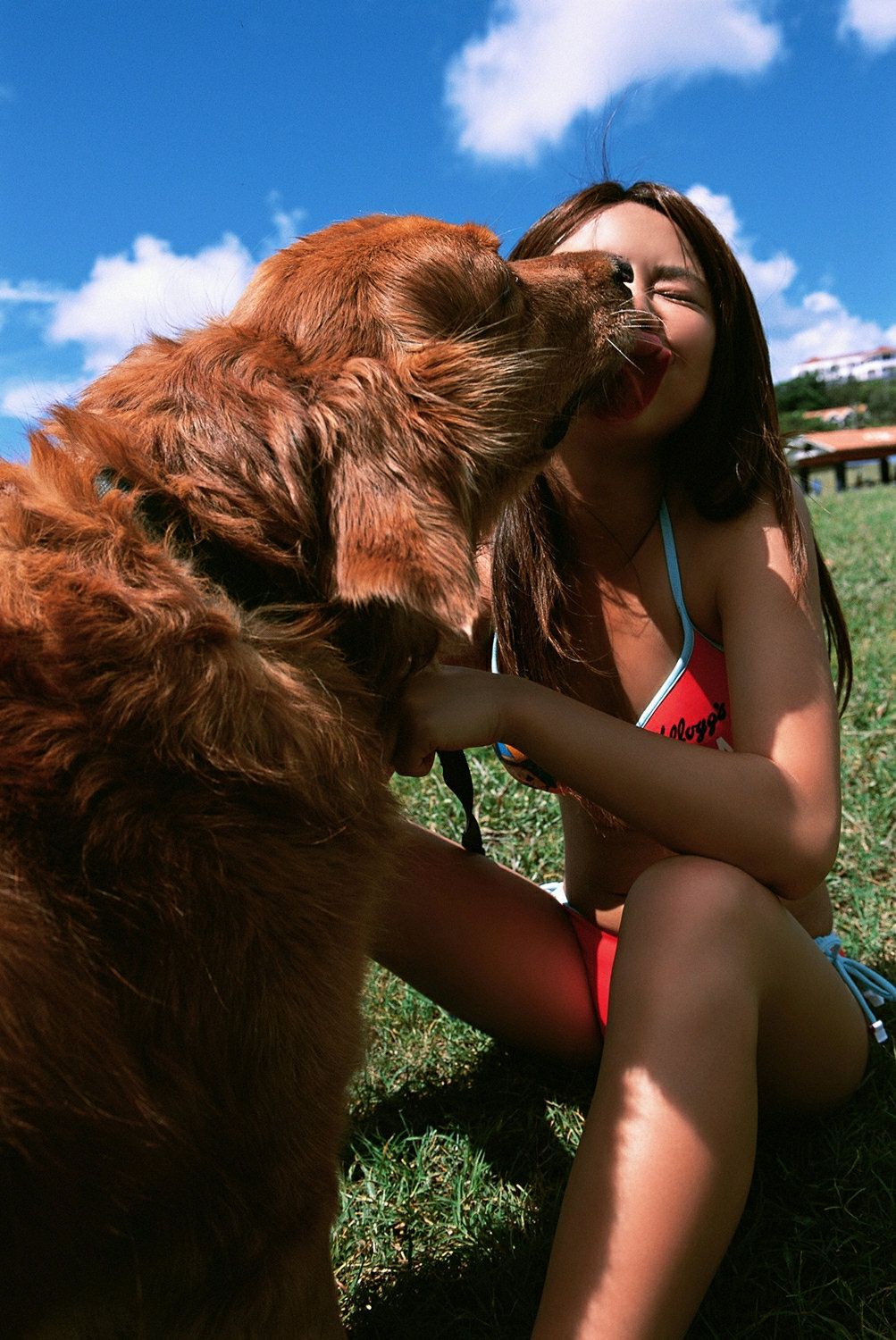 镰田奈津美《ミスYS乙女学院 07グランプリ决定》  Vol.217-图51