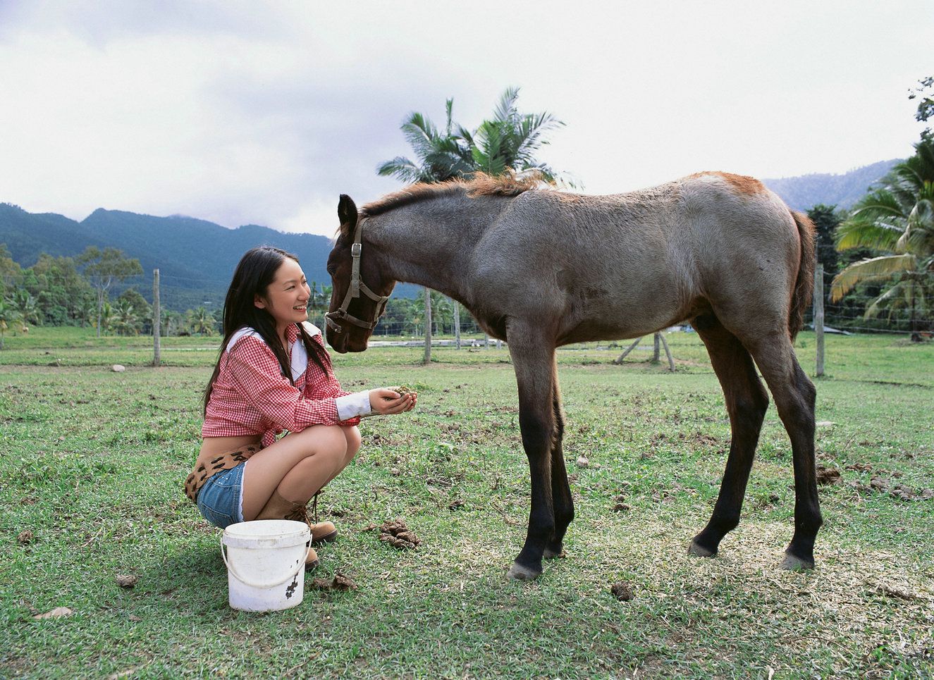 入江紗綾《Road~旅立ち~》  Vol.273-图25