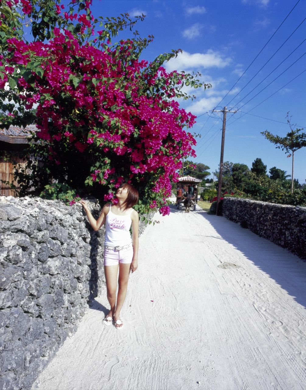 Miki Fujimoto 藤本美貴  Vol.07-图26