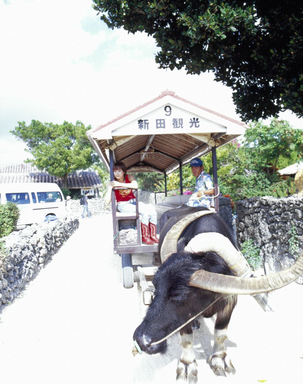 Miki Fujimoto 藤本美貴  Vol.07-图47