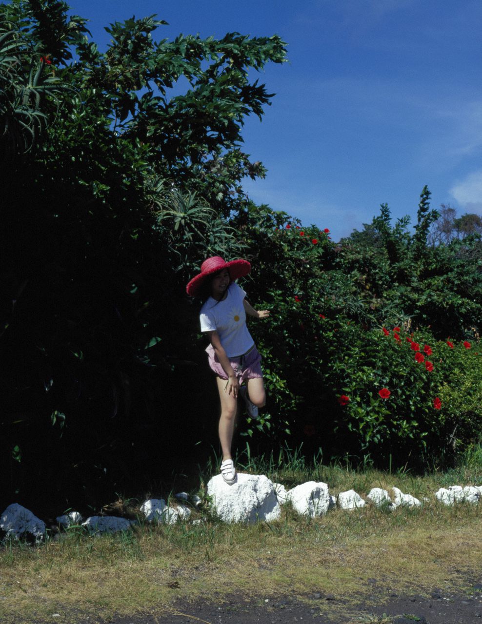 Niigaki Risa 新垣里沙  Vol.11-图12