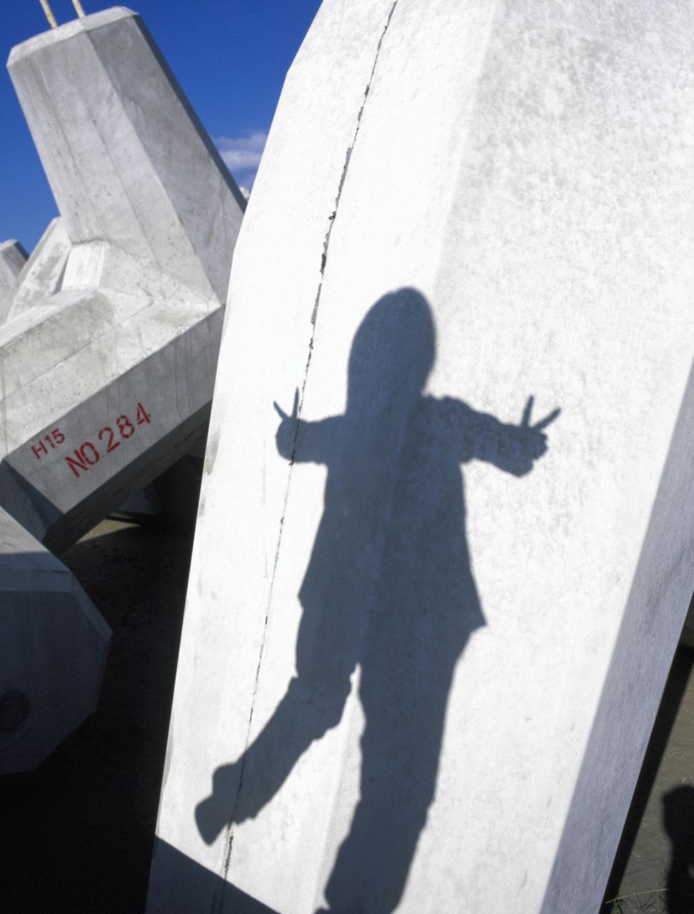 Rika Ishikawa 石川梨華  Vol.12-图17