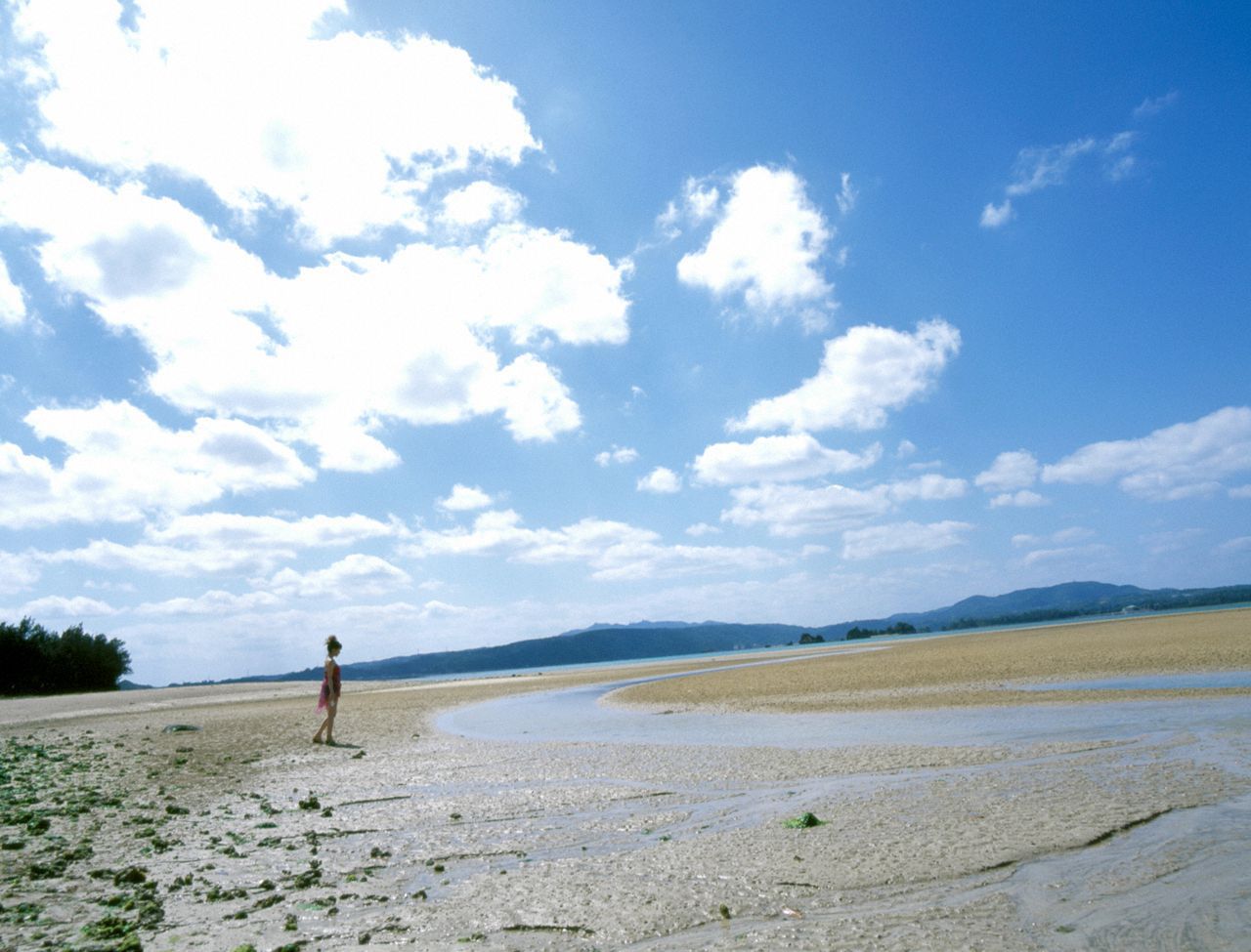 Reina Tanaka 田中丽奈/田中れいな  Vol.31-图65