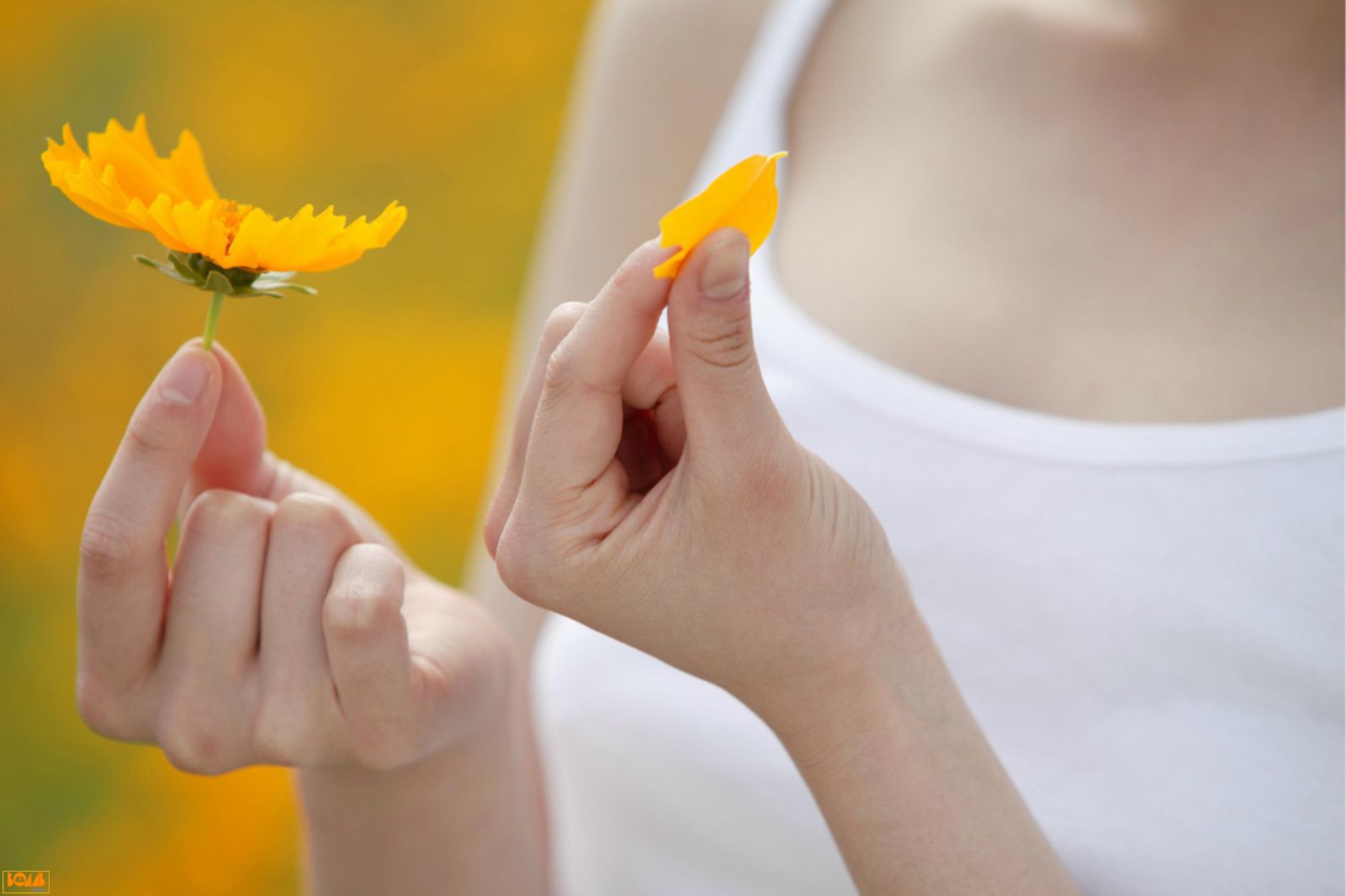 Chihiro Otsuka 大塚千弘/大冢千寻-图81