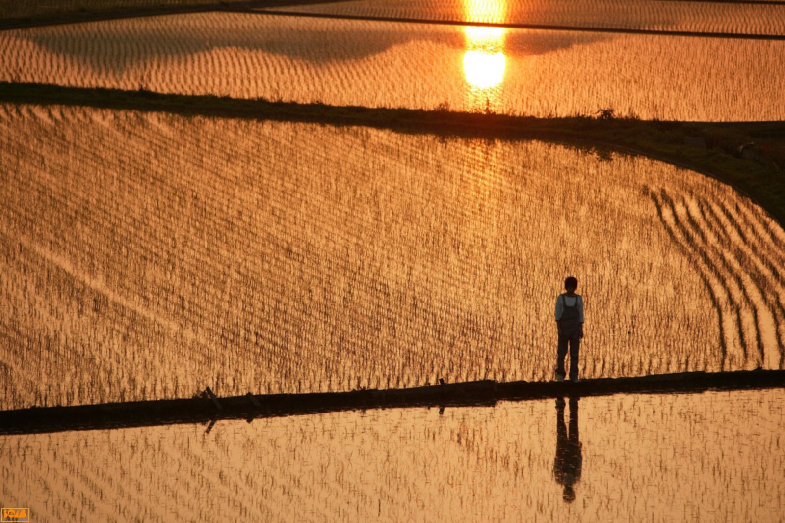 Chihiro Otsuka 大塚千弘/大冢千寻-图90