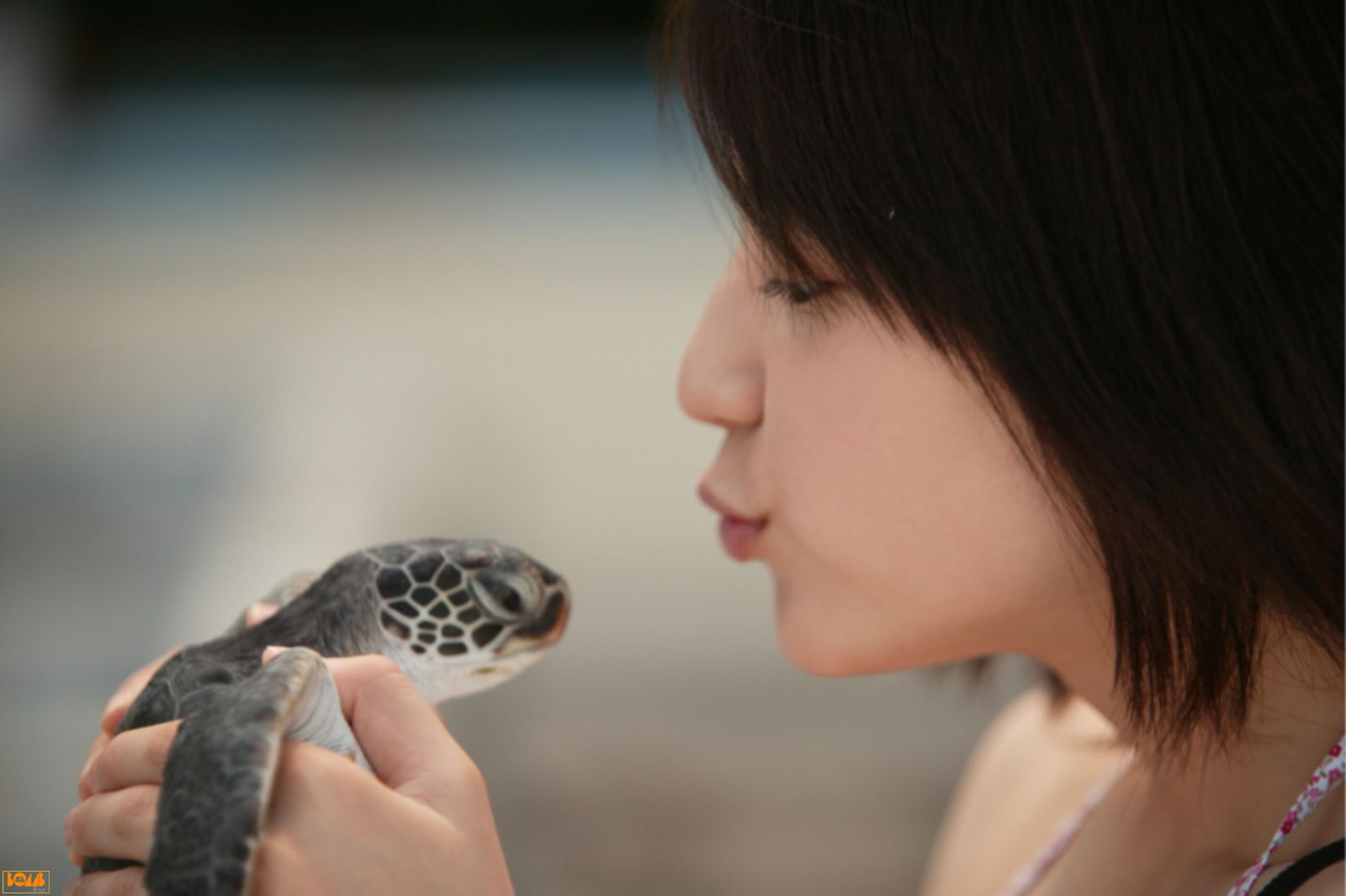 Masami Nagasaw 長澤まさみ/长泽雅美-图14