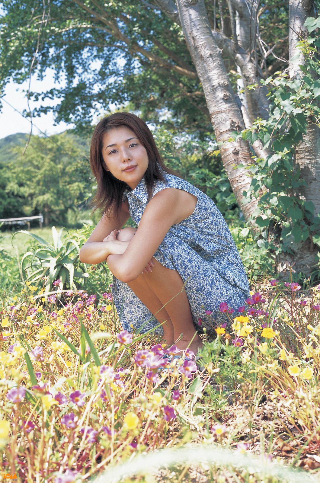 Miho Yoshioka 吉岡美穗-图94