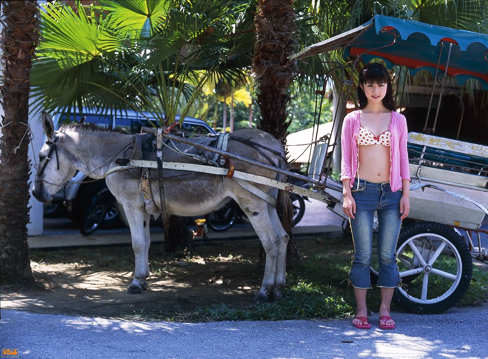 Yuko Ogura 小倉優子 02-图66