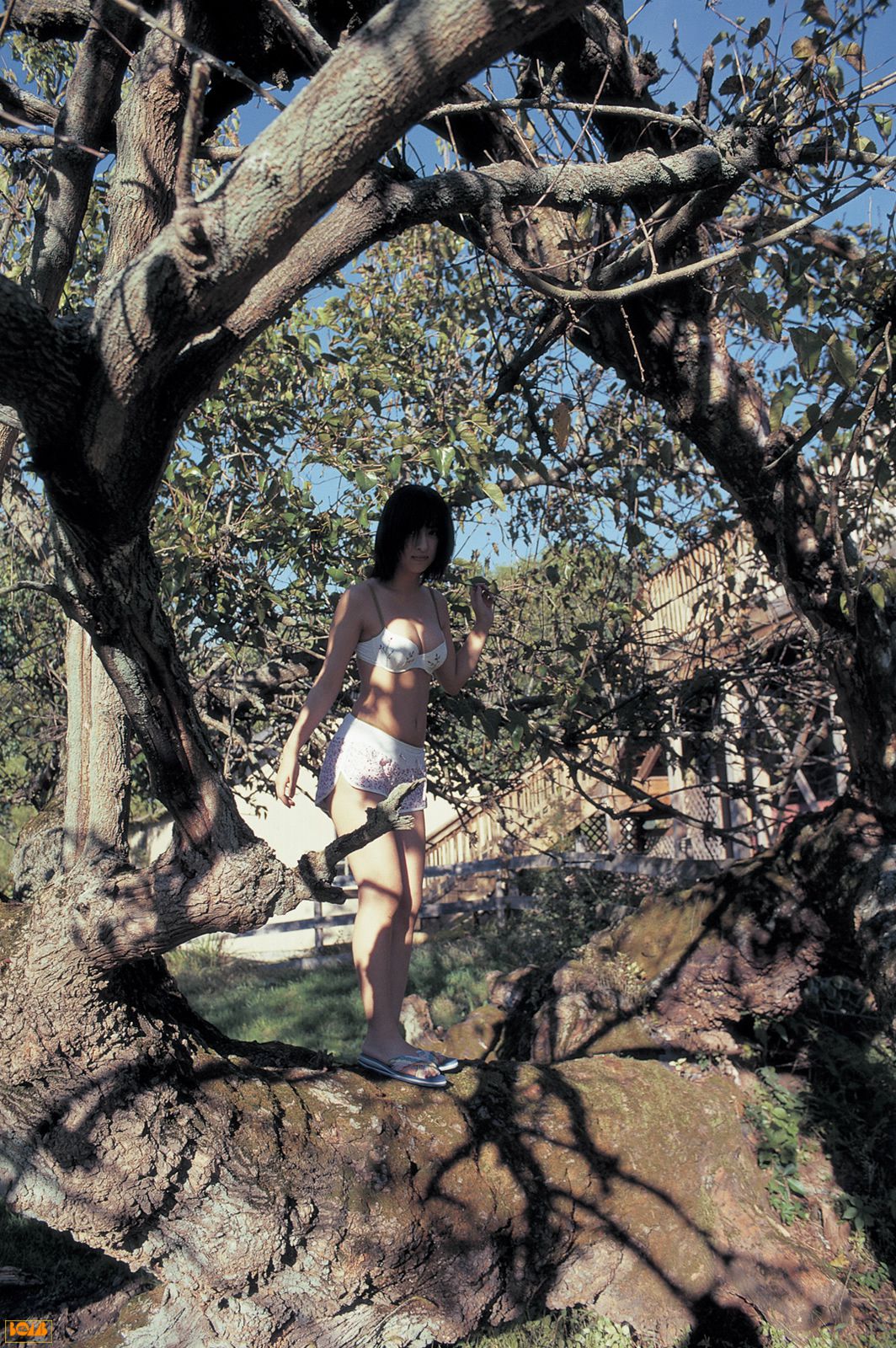 2004年12月刊 Kasumi Nakane 仲根かすみ/仲根霞-图32