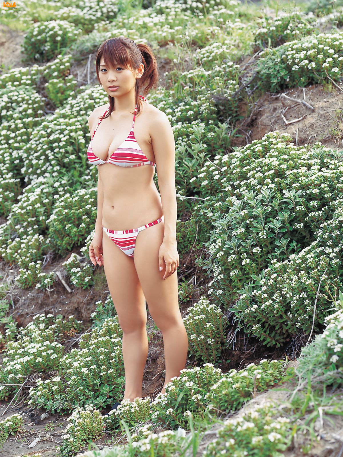 2007年07月刊 Yuika Hotta 堀田ゆい夏/堀田由夏-图59