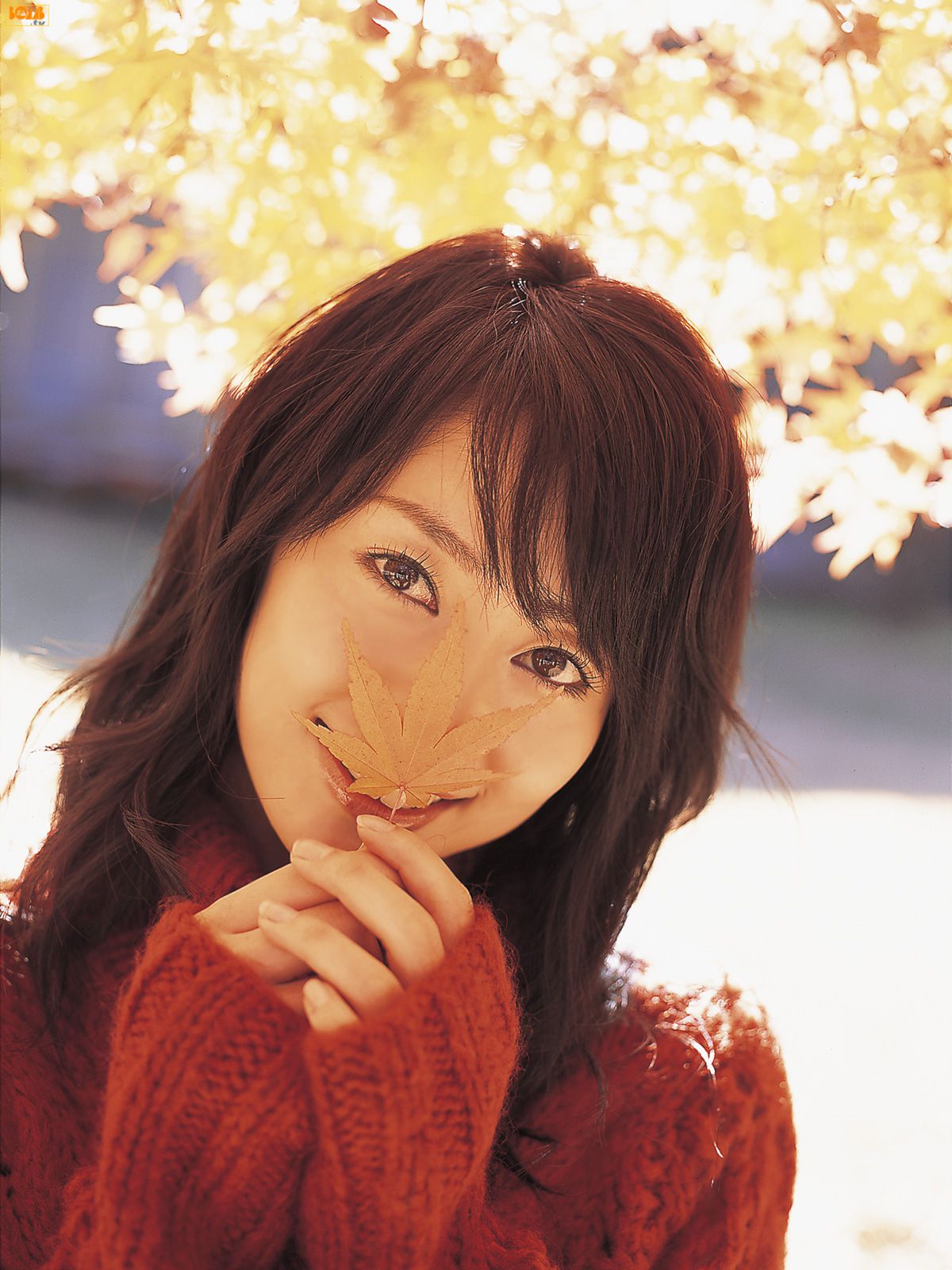 2008年06月刊 谷桃子 Momoko Tani-图41