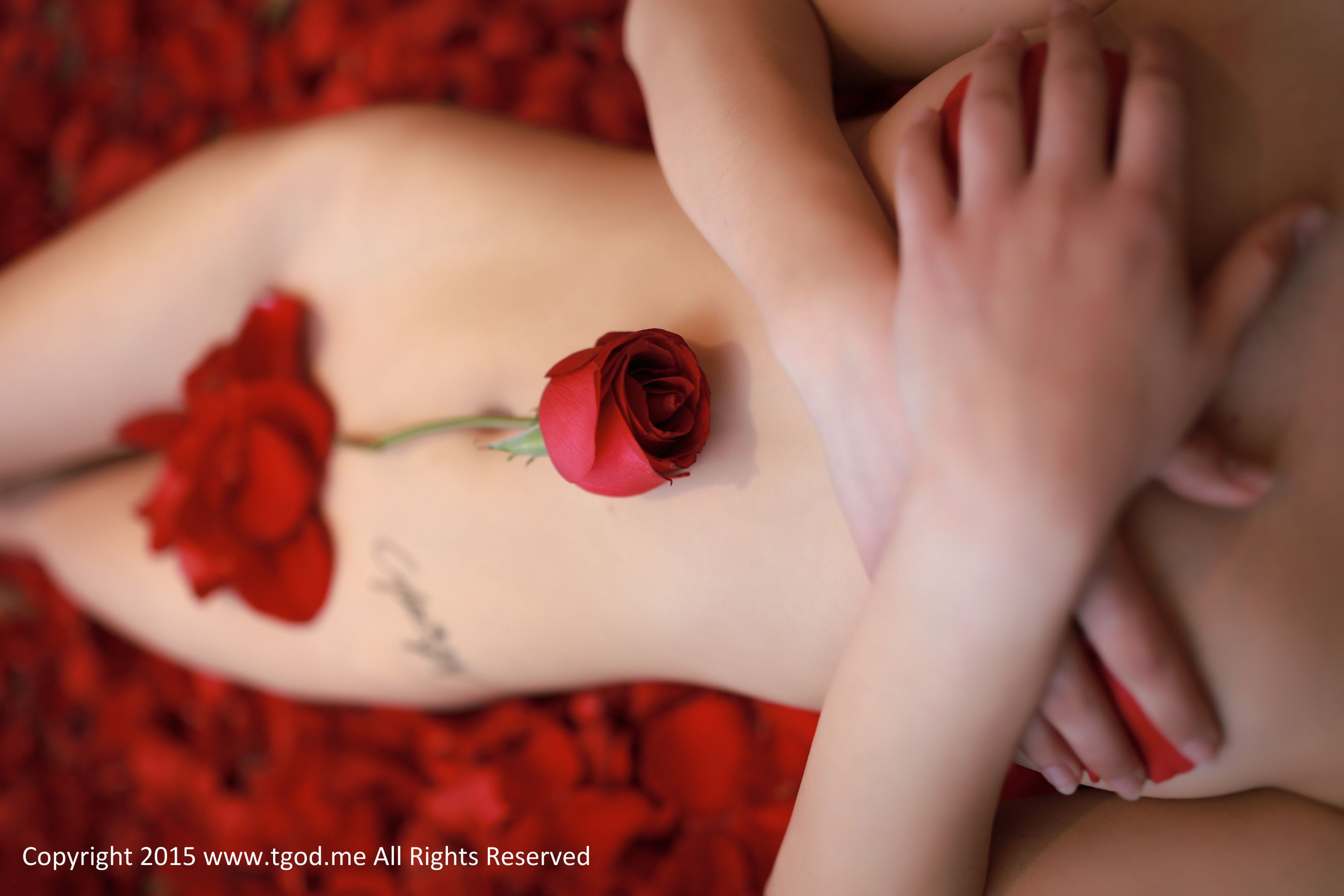 CyberJelly霜爷《玫瑰女神本性》私房写真-图22