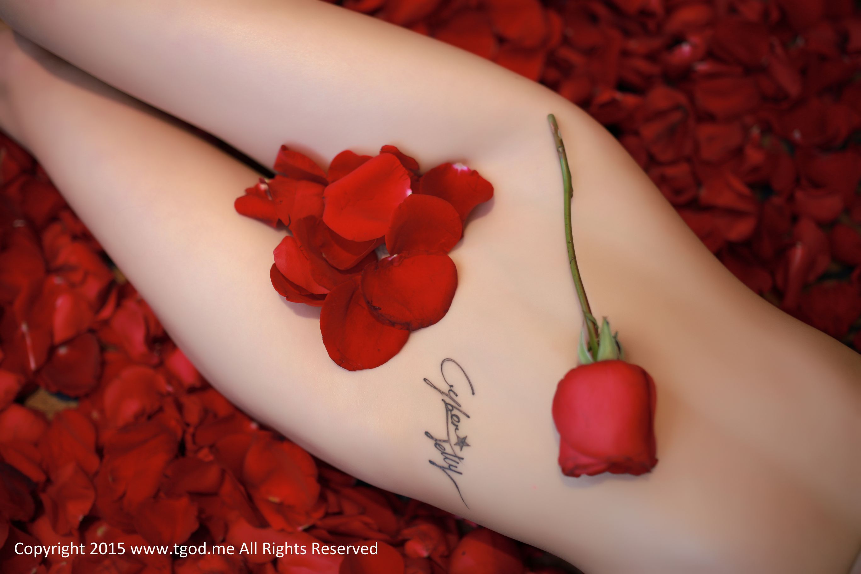 CyberJelly霜爷《玫瑰女神本性》私房写真-图25