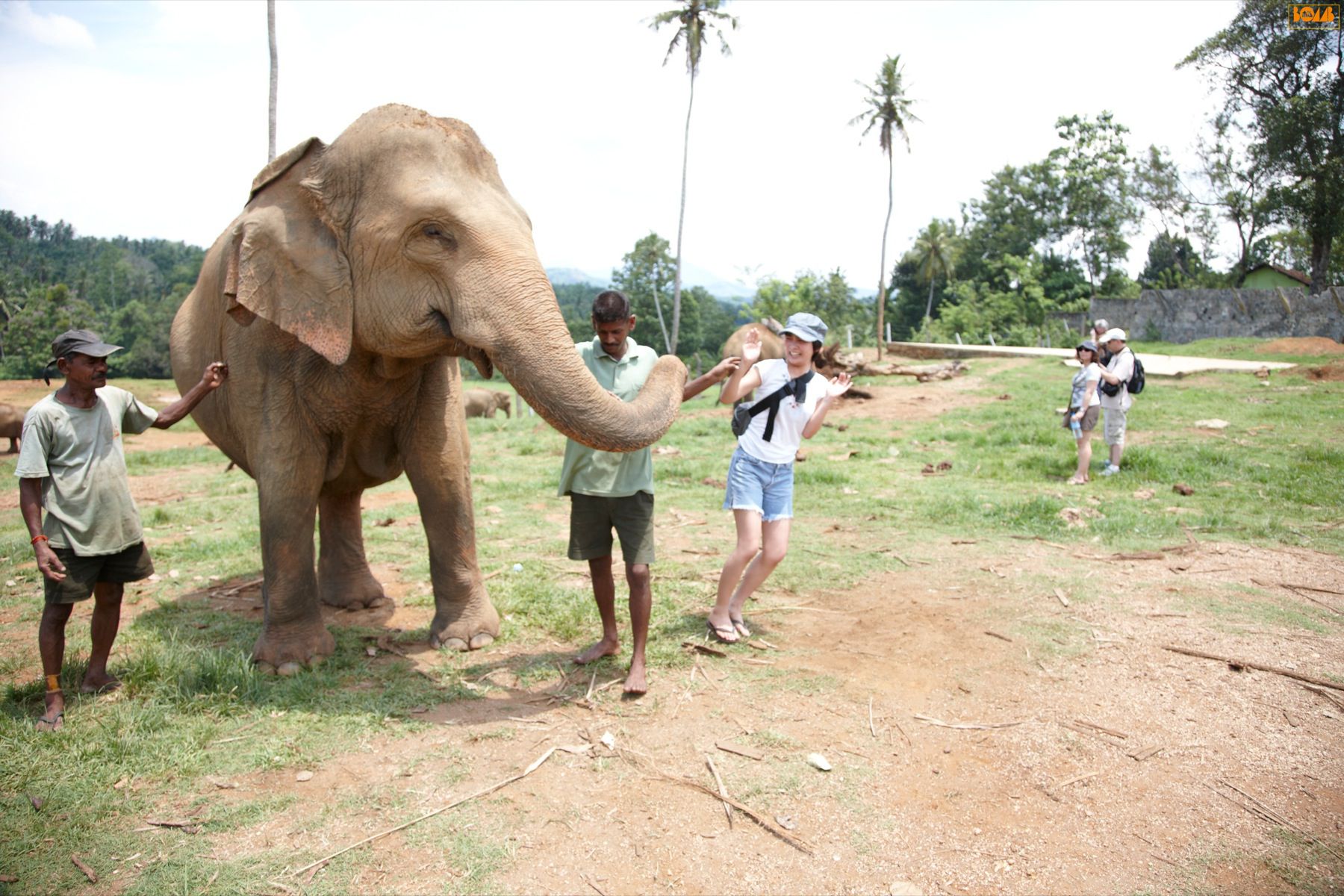 2010年10月刊 谷村美月 Mitsuki Tanimura-图3