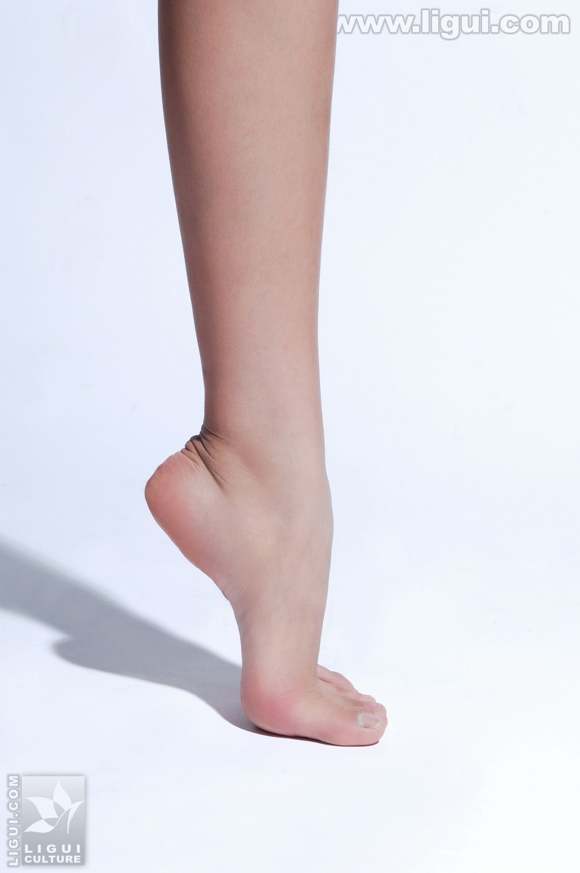 Model 王玉《黑丝美女新丽人》美腿玉足写真图片-图42